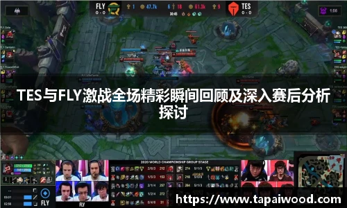 VSportTES与FLY激战全场精彩瞬间回顾及深入赛后分析探讨